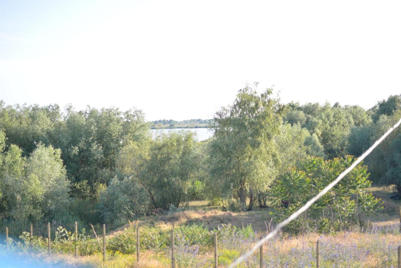 Pensiunea Yogi Dunavăţu de Jos Εξωτερικό φωτογραφία