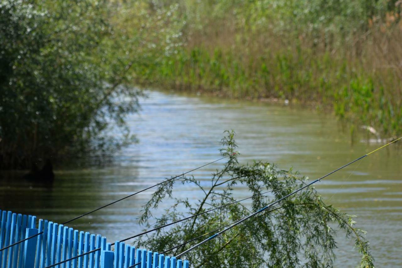 Pensiunea Yogi Dunavăţu de Jos Εξωτερικό φωτογραφία