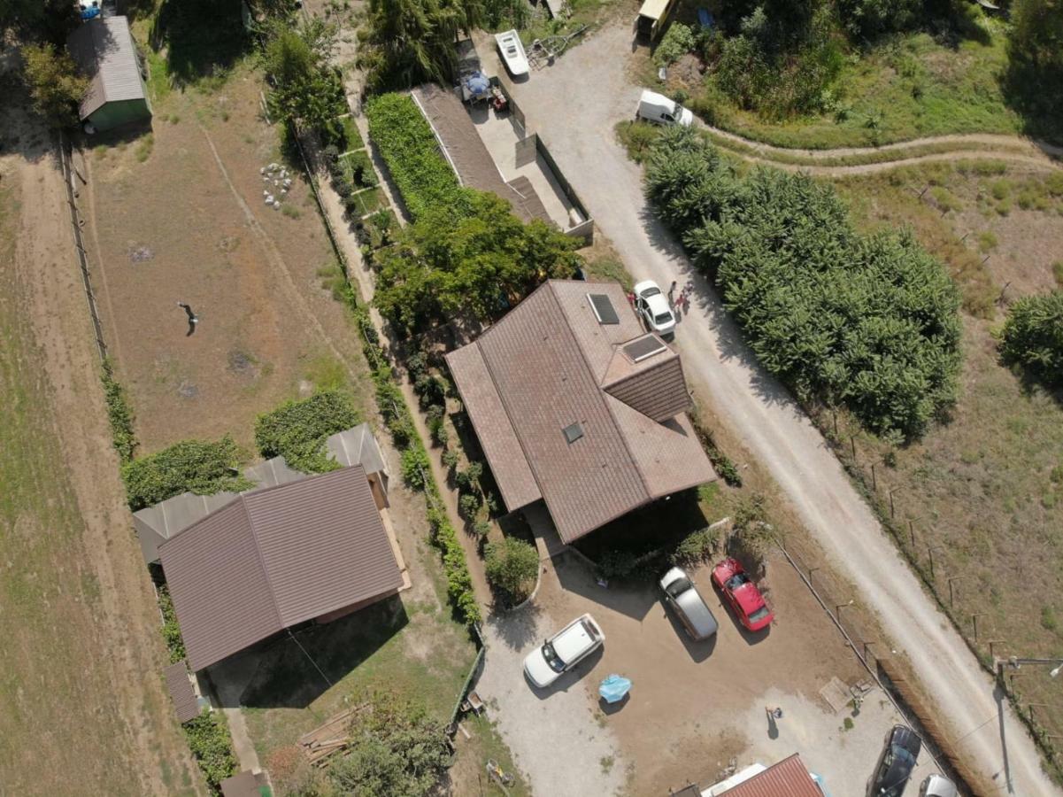 Pensiunea Yogi Dunavăţu de Jos Εξωτερικό φωτογραφία